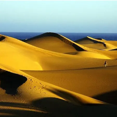 Caribe 530 By Casas Cocodrilo Playa del Ingles (Gran Canaria)