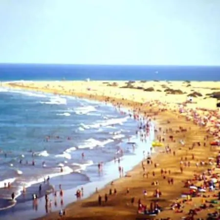 Caribe 530 By Casas Cocodrilo